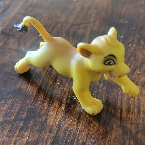 Giovane simba leone - giovane, il